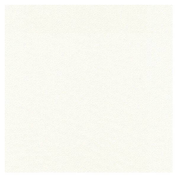 壁紙 ベスト 無地調 （不燃）