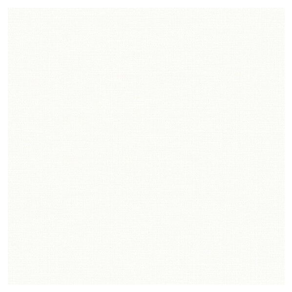 壁紙 ベスト 無地調 (不燃)