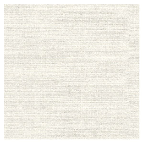 壁紙 ベスト 無地調 （不燃）