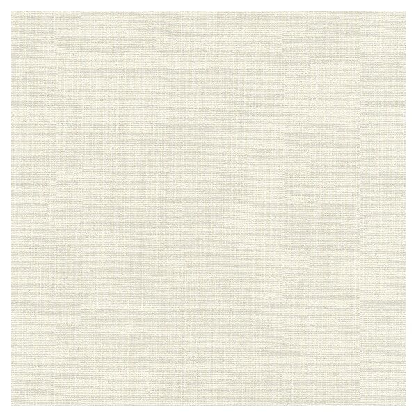 壁紙 ベスト 無地調 （不燃）