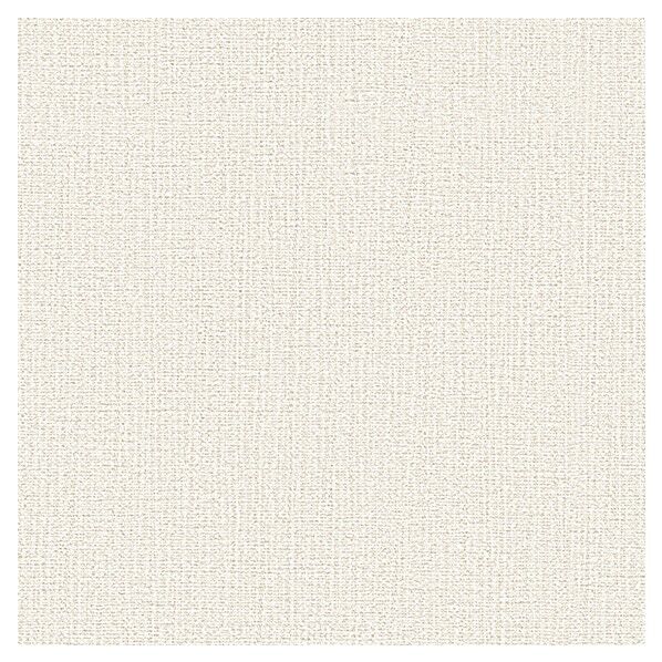 壁紙 ベスト 無地調 （不燃）