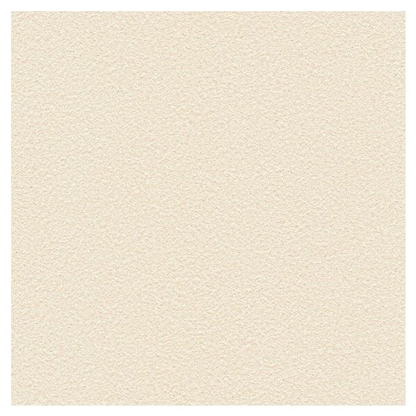 壁紙 ベスト 無地調 （不燃）