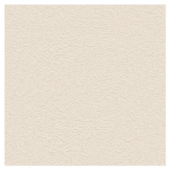 壁紙 ベスト 無地調 （不燃）