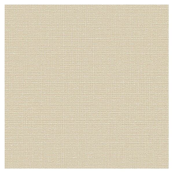 壁紙 ベスト 無地調 (不燃)