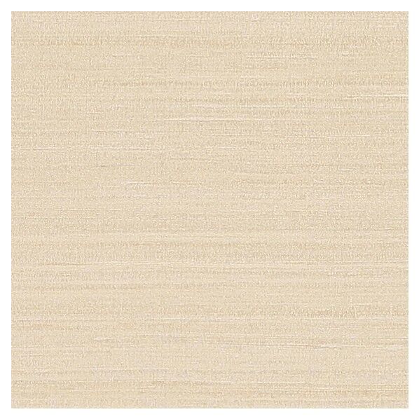 壁紙 ベスト 無地調 （不燃）