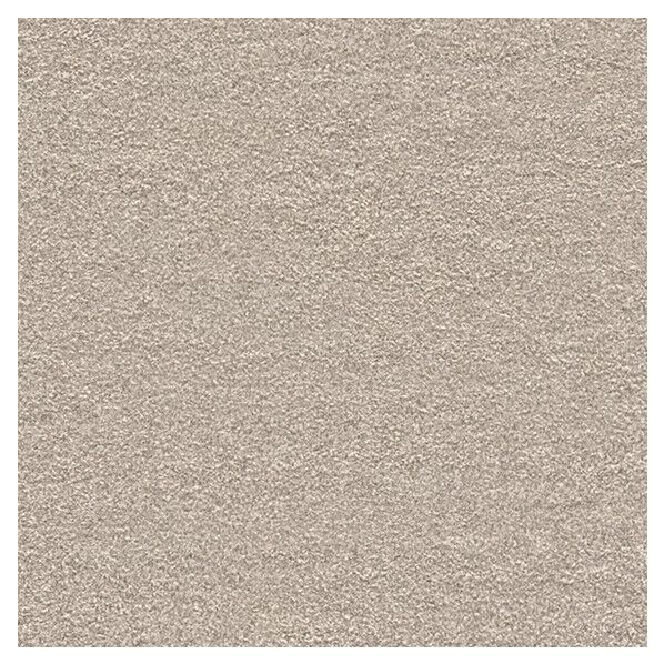 壁紙 ベスト 無地調 （不燃）