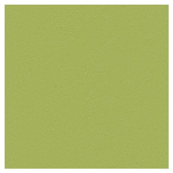 壁紙 ベスト 無地調 (不燃)