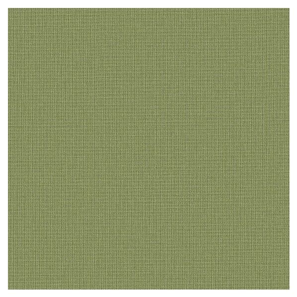 壁紙 ベスト 無地調 （不燃）