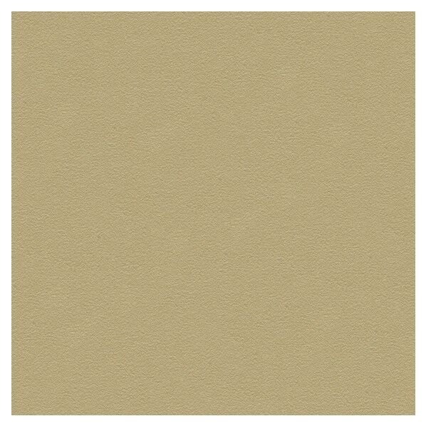 壁紙 ベスト 無地調 （不燃）