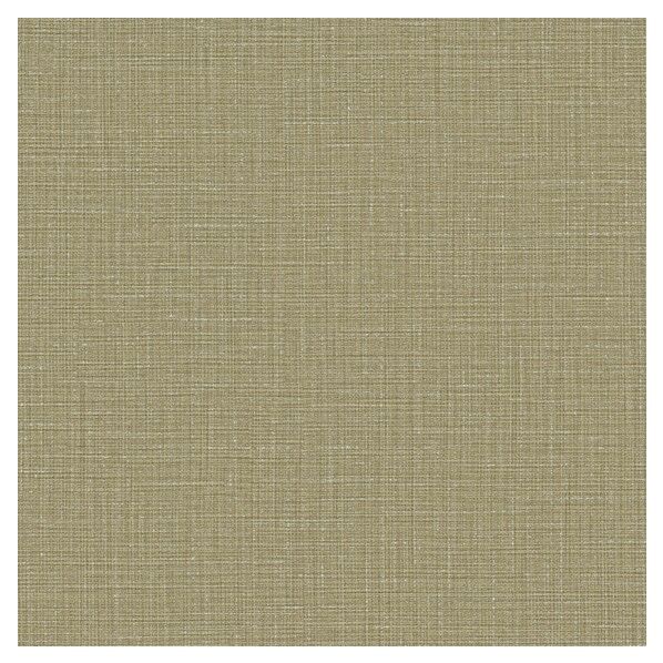 壁紙 ベスト 無地調 (不燃)