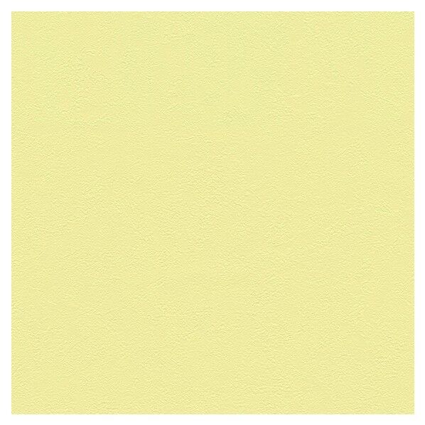 壁紙 ベスト 無地調 (不燃)