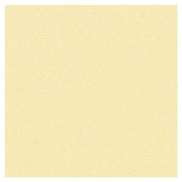 壁紙 ベスト 無地調 （不燃）