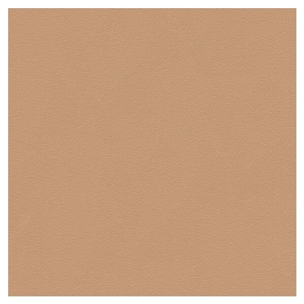 壁紙 ベスト 無地調 （不燃）