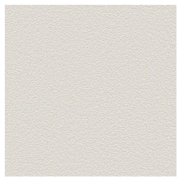 壁紙 ベスト 天井向き （不燃）