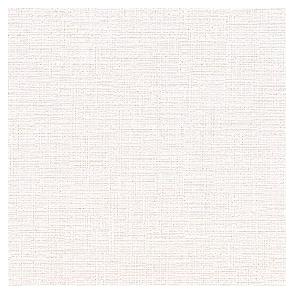 壁紙 ベスト 天井向き (不燃)