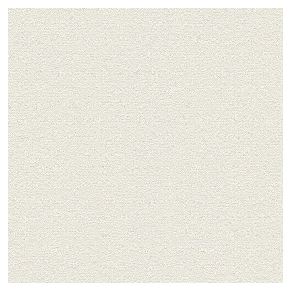 壁紙 ベスト 素材･エコ壁紙 （不燃）