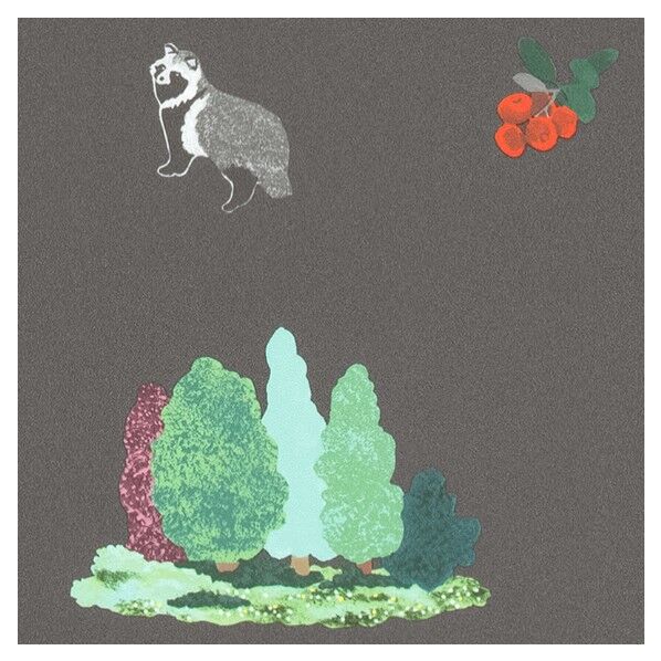 壁紙 ベスト カジュアル (不燃)