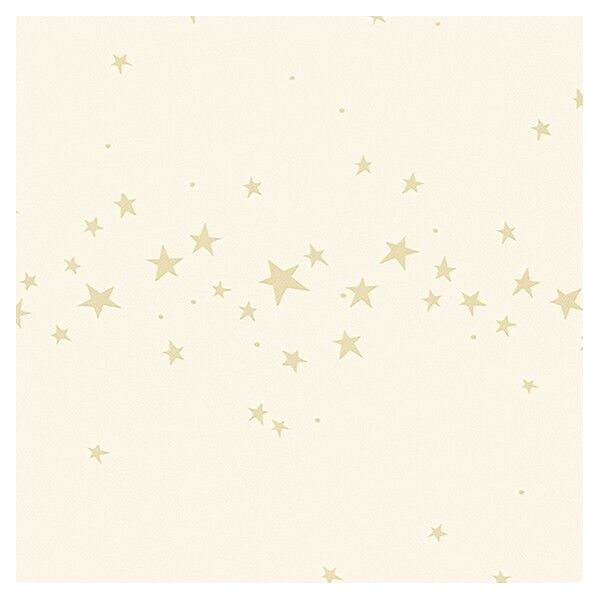 壁紙 ベスト カジュアル (不燃)