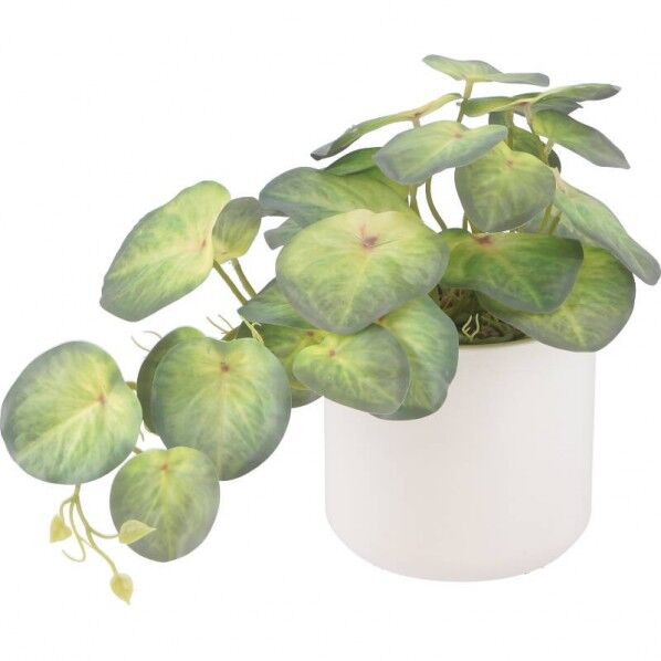 フェイクグリーン シンゴニウム セラミックポット