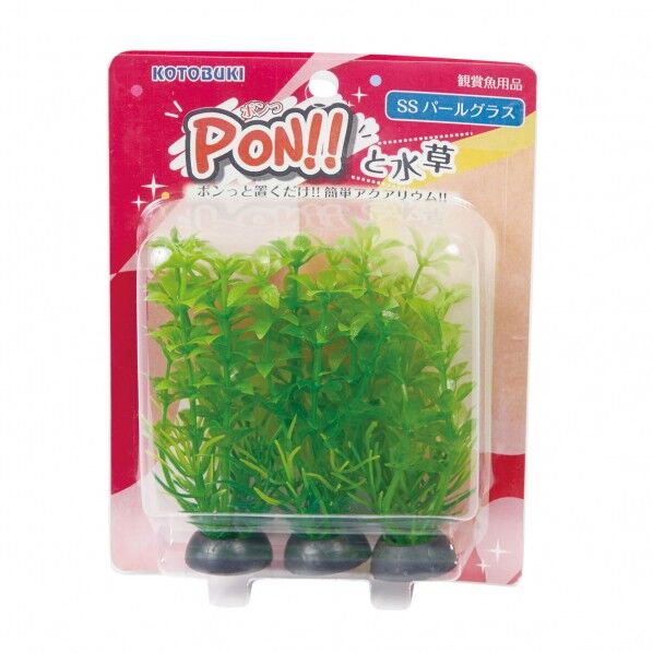 PON-SS パールグラス