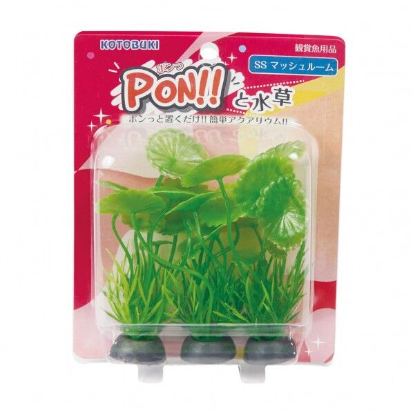 PON-SS マッシュルーム