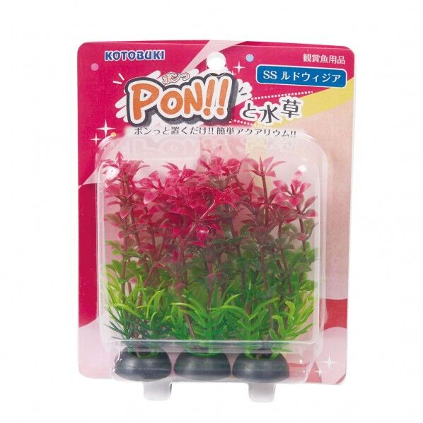 PON-SS ルドヴィジア