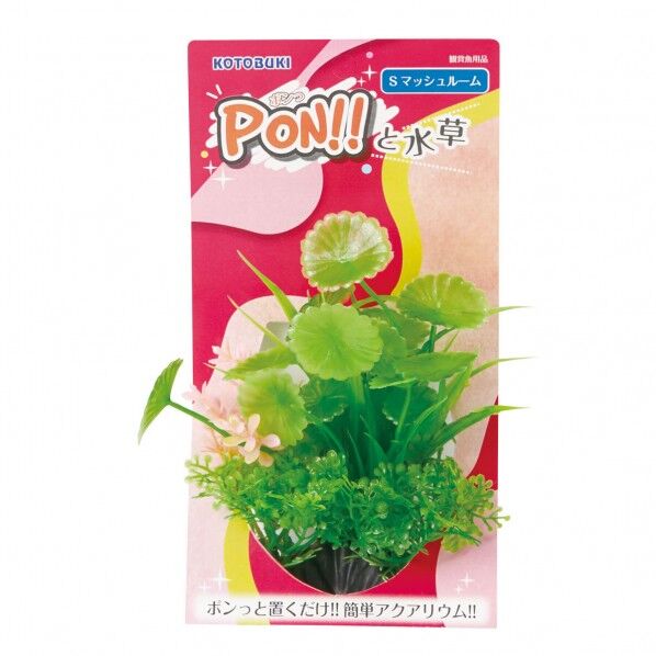 PON-S マッシュルーム