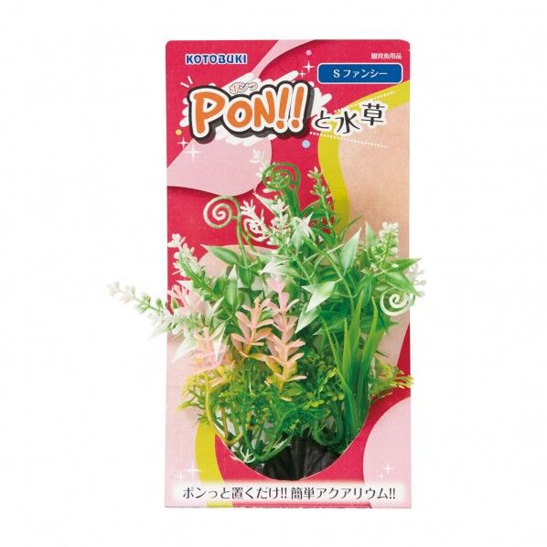 PON-S ファンシー
