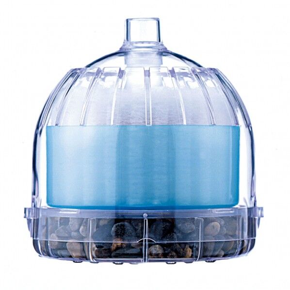 ろかドームS