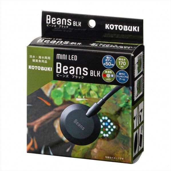 ミニLED ビーンズ ブラック