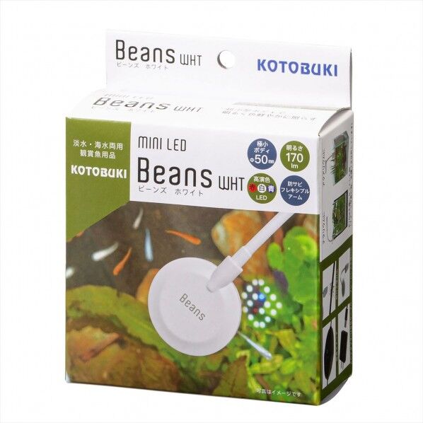 ミニLED ビーンズ ホワイト