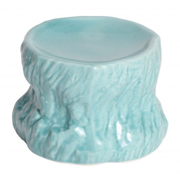 岩石 古樹 トルコブルー