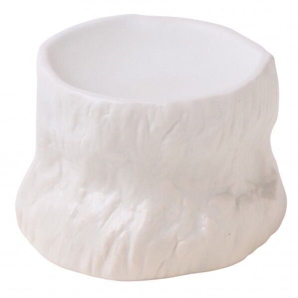 岩石 古樹 白マット