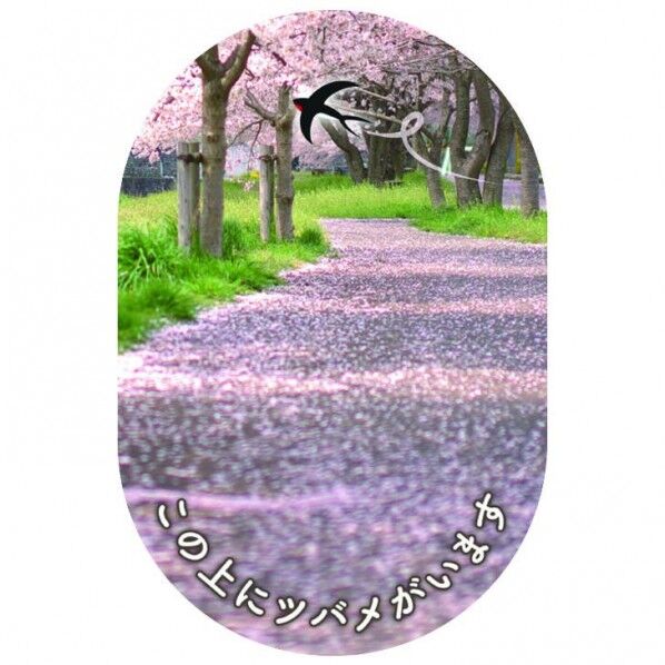 スワロ-サホﾟ-ト フロアシ-ト