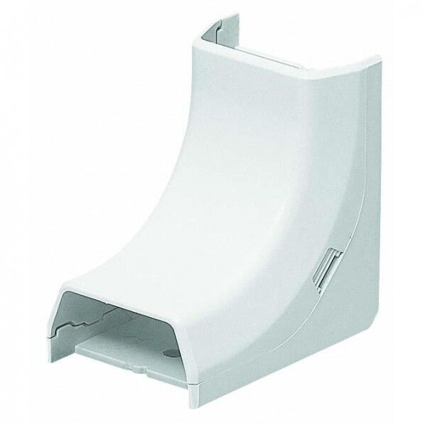 オオイリスﾞミ Eモールフソﾞクヒン