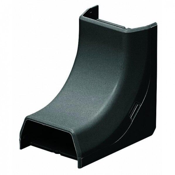 オオイリズミ Eモールフゾクヒン