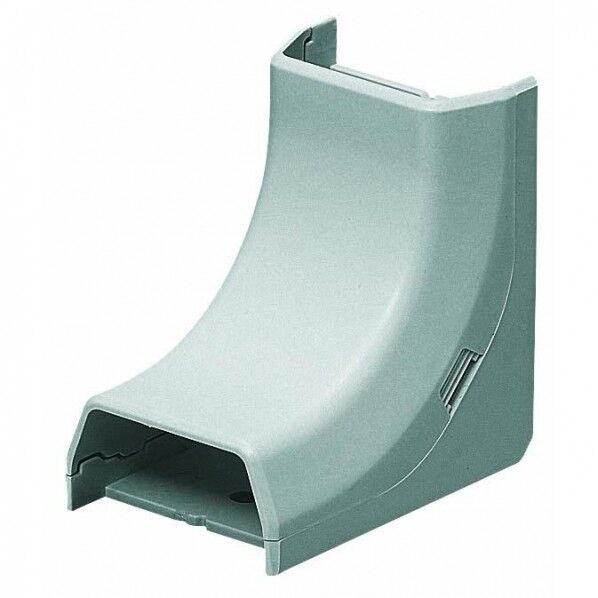 オオイリズミ Eモールフゾクヒン