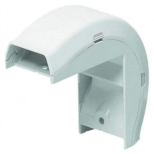 オオデズミ Eモールフゾクヒン