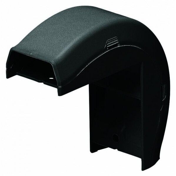 オオデズミ Eモールフゾクヒン