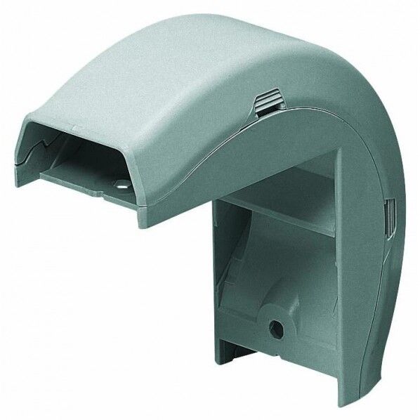 オオデズミ Eモールフゾクヒン