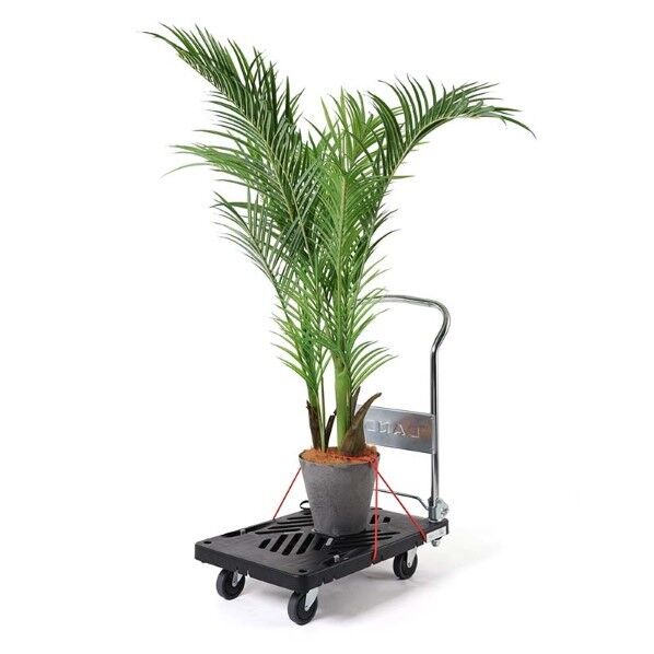 荷締めゴム XL-HS 1点