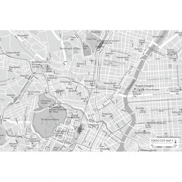 テーブルマット TOKYO MAP1