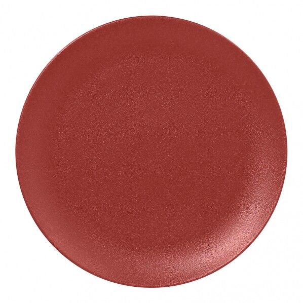 ネオフュージョン フラットプレート DR