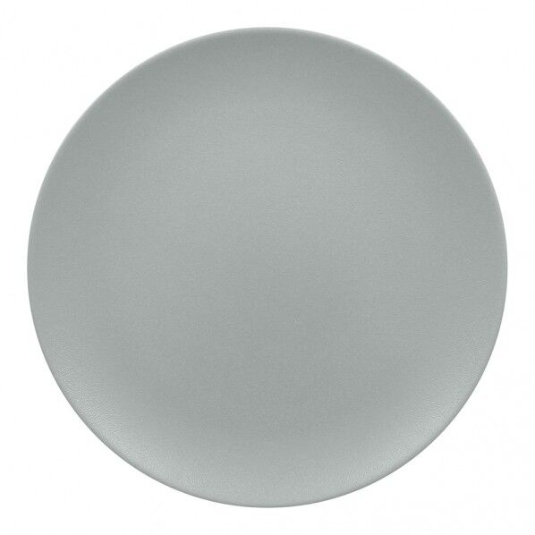 ネオフュージョン フラットプレート PG