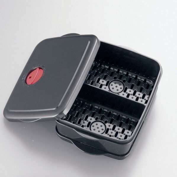 竹炭入りごはん用スチーマー保存容器 約2杯分 ASTO601 1個