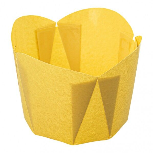 ペットチューリップ クリーム