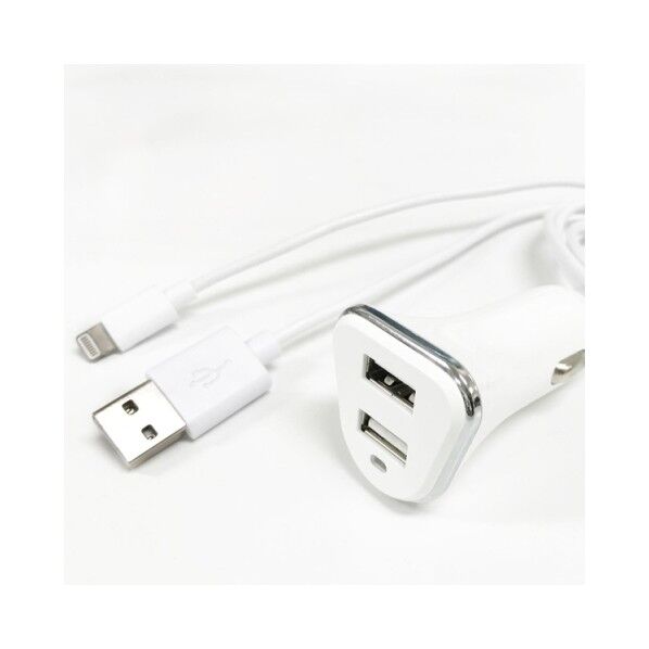 WZ-917 USB充電器+LiGhtninGケーブル 12/24V