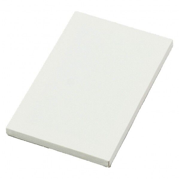 ミニキャンハﾞス 大