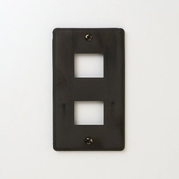 ステンレス コンセントプレート 1連2口用