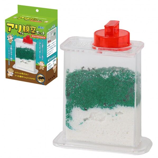 アリさん観察セット コンハﾟクトタイフﾟ